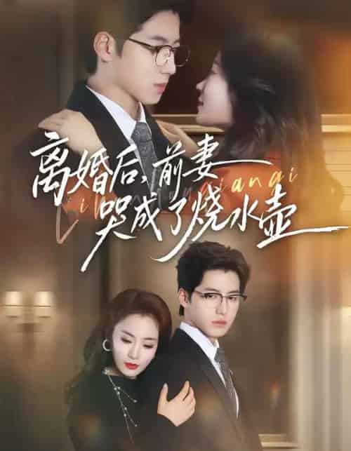 离婚后，前妻哭成了烧水壶（60集全）甜鹅＆董星岩-海之城短剧项目