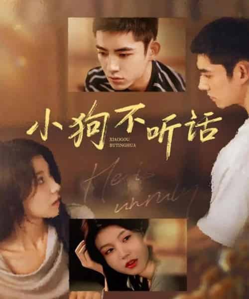 小狗不听话（70集全）马浩东＆何田田-海之城短剧项目