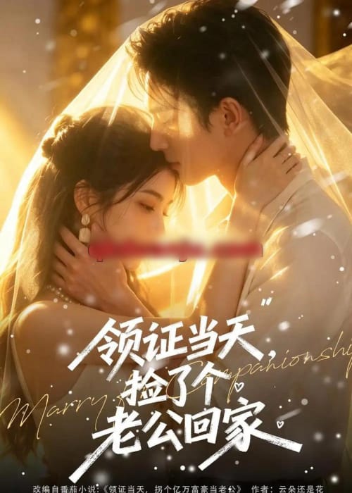 领证当天，捡了个老公回家（80集全）AI短剧-海之城短剧项目