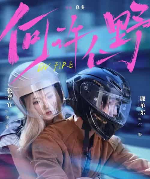 何许仁野（60集全）鹿单东＆张晋宜-海之城短剧项目