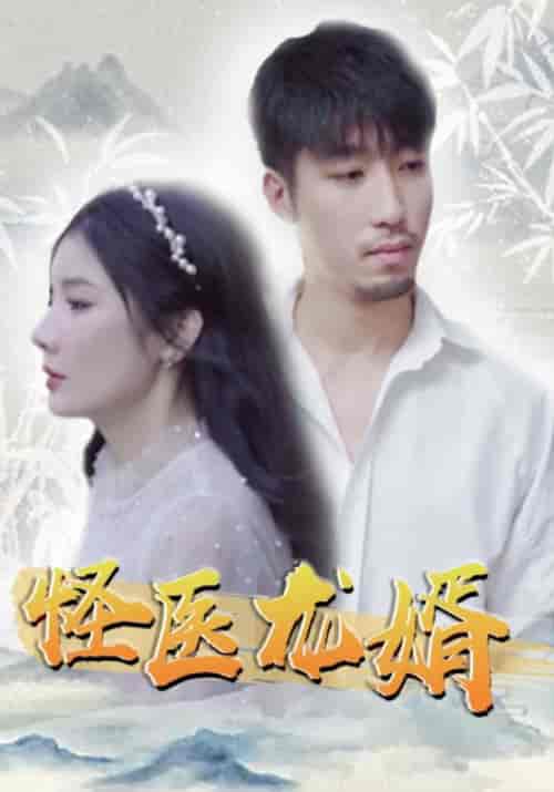 怪医龙婿（80集全）丁不二＆风听雪 - 海之城短剧