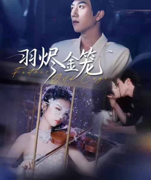 羽烬金笼（74集全）宋宇博＆肖诗雨-海之城短剧项目