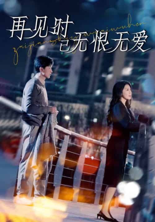 再见时已无恨无爱（62集全）王鹏＆丁海霞 - 海之城短剧