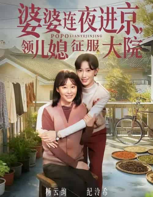 婆婆连夜进京，领儿媳征服大院（78集全）纪泠希＆杨云绚-海之城短剧项目
