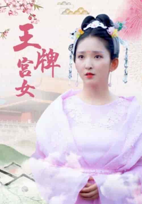 王牌宫女（16集全）果亲王＆婉儿 - 海之城短剧