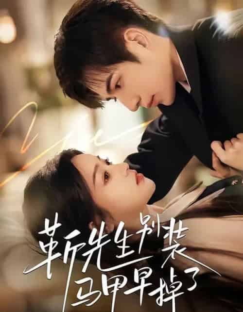 靳先生别装马甲早掉了（60集全）刘苗苗＆曾帅翔-海之城短剧项目