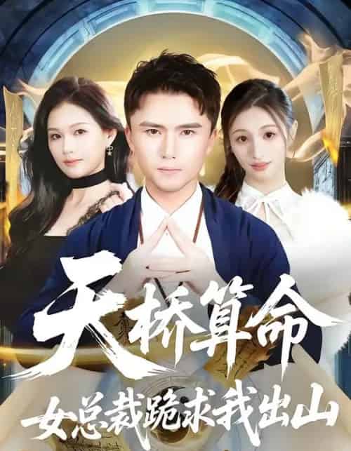 天桥算命女总裁跪求我出山（81集全）赵志盟＆张颖洁-海之城短剧项目