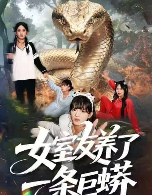 女室友养了一条巨蟒（80集全）彭洋洋＆郑凯＆常舒畅-海之城短剧项目