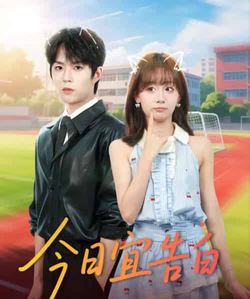 今日宜告白（80集全）曹渊＆胡嘉倪-海之城短剧项目