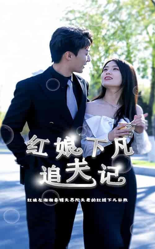 红娘下凡追夫记（100集） - 海之城短剧