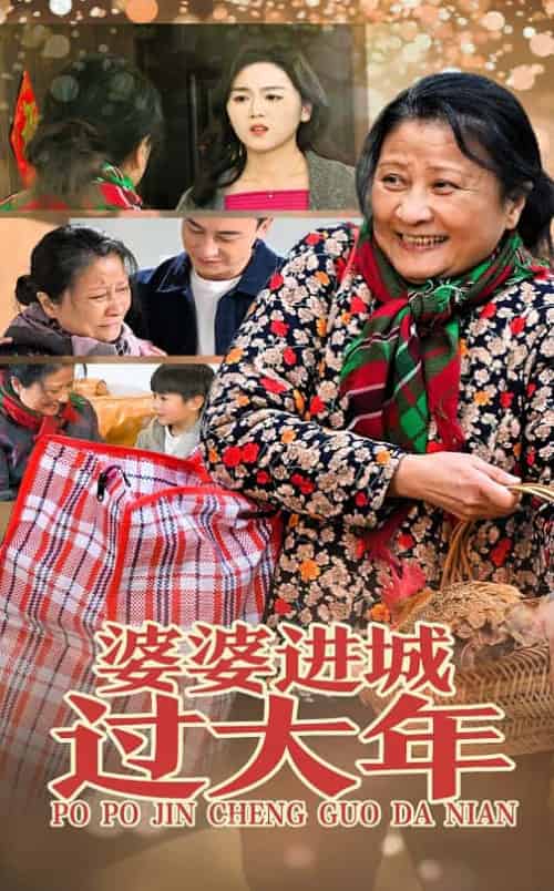 婆婆进城过大年（33集） - 海之城短剧