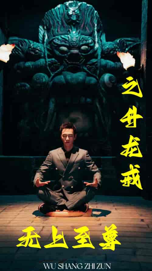 无上至尊之升龙戒（88集全）-海之城短剧项目