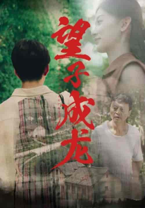 望子成龙（74集） - 海之城短剧