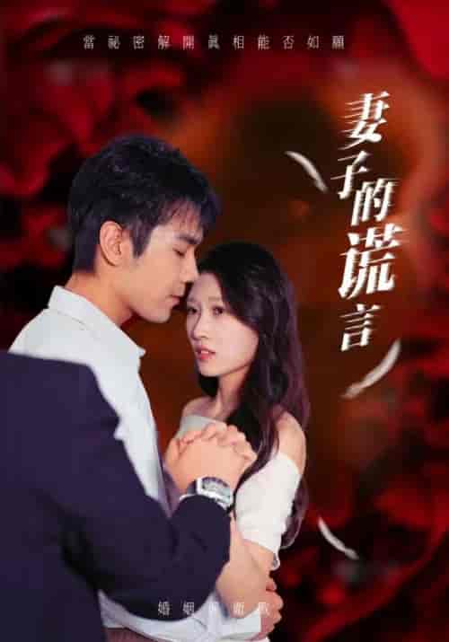 妻子的谎言（41集全） - 海之城短剧