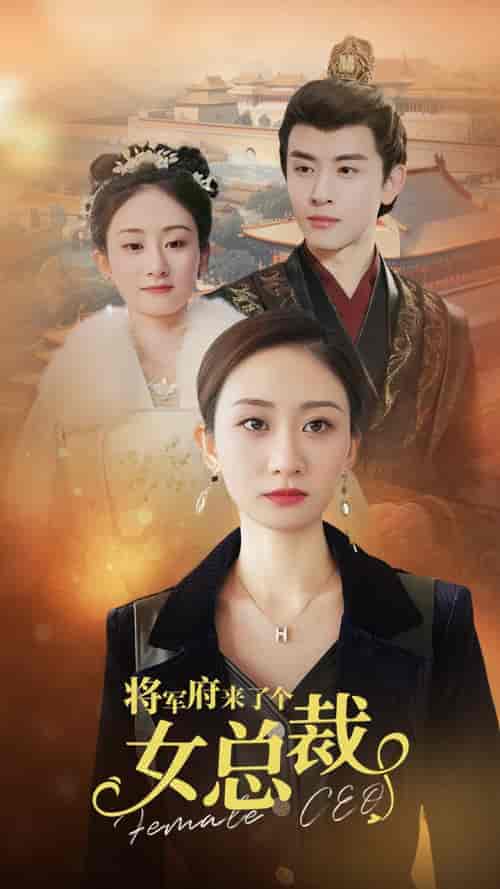 将军府来了个女总裁 将军府来了个女总裁