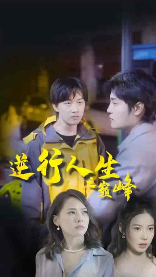 逆袭人生之巅峰（92集） - 海之城短剧