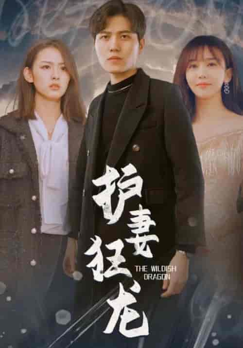 护妻狂龙（100集全）楚绝尘＆沈云初 - 海之城短剧