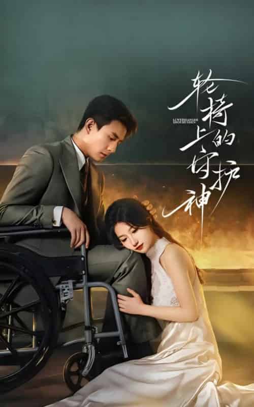 轮椅上的守护神（25集全）刘萧旭＆兰岚-海之城短剧项目