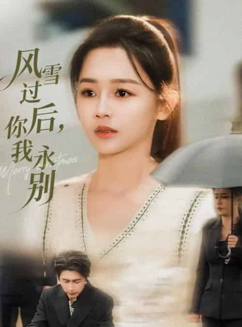 风雪过后你我永别（51集全）王禹润＆郑湘敏-海之城短剧项目