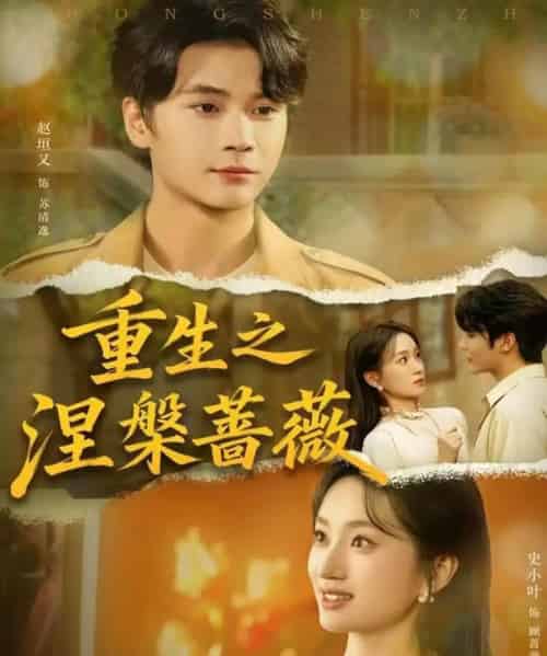 重生之涅槃蔷薇（80集全）赵坦又＆史小叶-海之城短剧项目