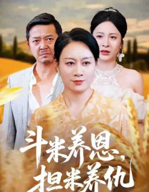 斗米养恩担米养仇（50集） - 海之城短剧