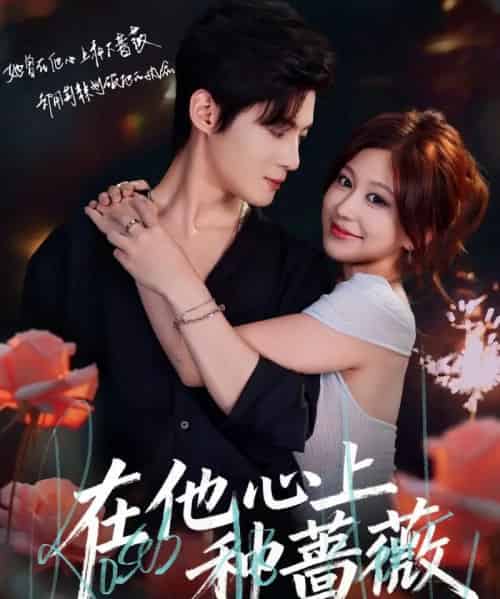 在他心上种蔷薇（81集全）谢鸿鑫＆柴慧欣-海之城短剧项目