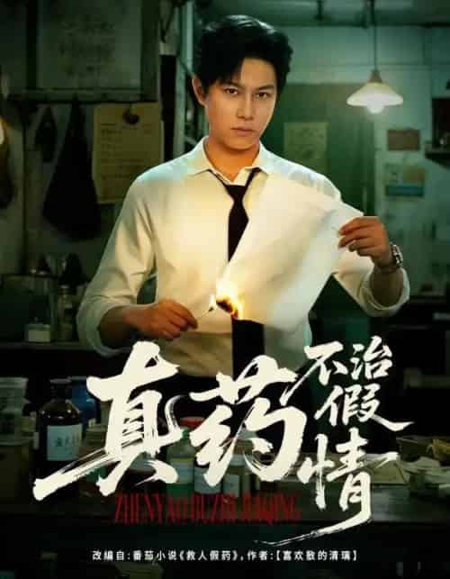 真药不治假情（60集全）杨晰茹＆晁轩-海之城短剧项目