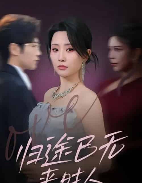 归途已无来时人（70集全）李智颖＆薛大钊-海之城短剧项目