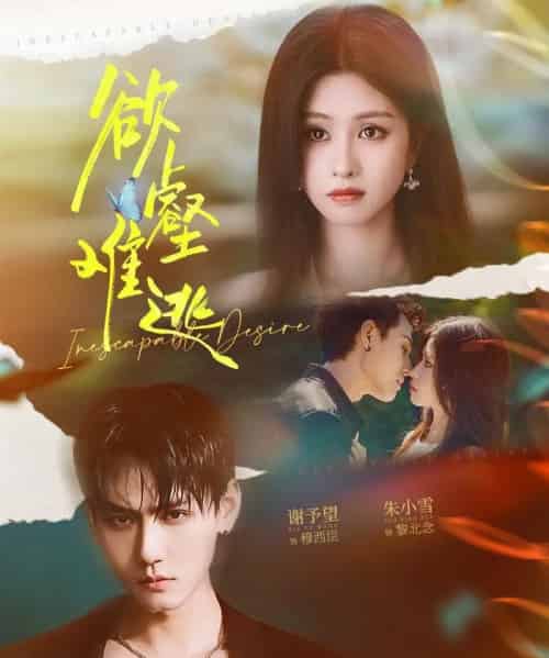 欲壑难逃（64集全）谢予望＆朱小雪-海之城短剧项目