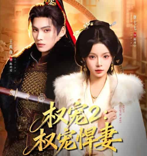 权宠2：权宠悍妻＆权宠2权宠悍妻（81集全）王禹翰＆唐七七-海之城短剧项目