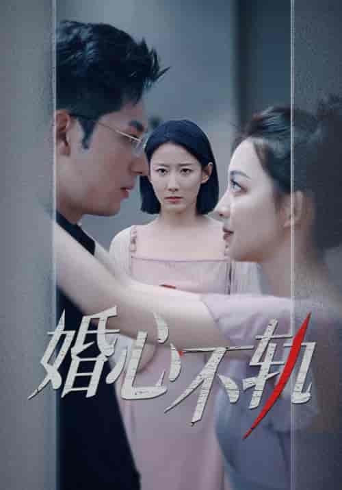婚心不轨（50集） - 海之城短剧