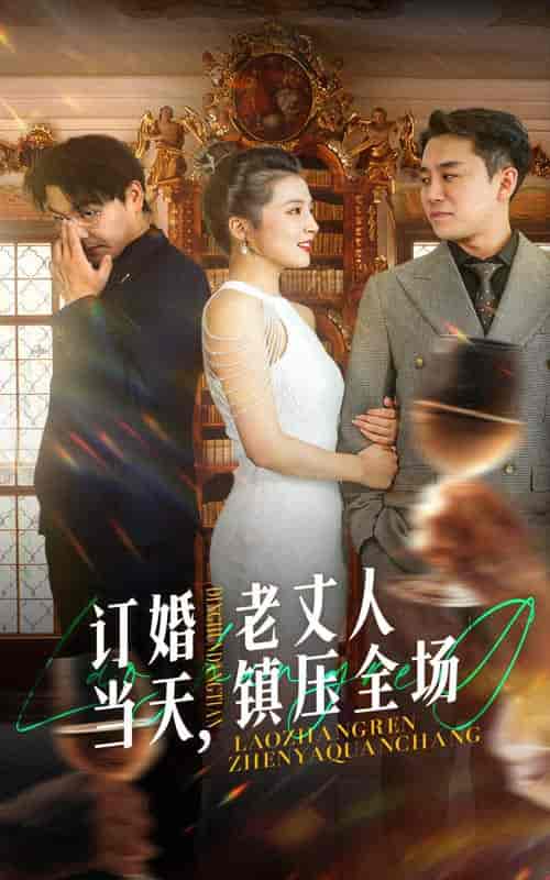 订婚当天，老丈人镇压全场（29集全） - 海之城短剧