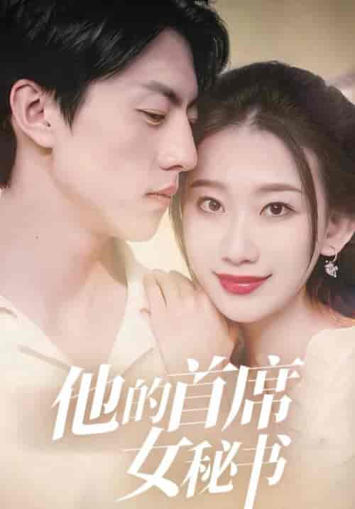 他的首席女秘书 他的首席女秘书