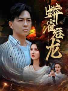 蟒雀吞龙（91集） - 海之城短剧
