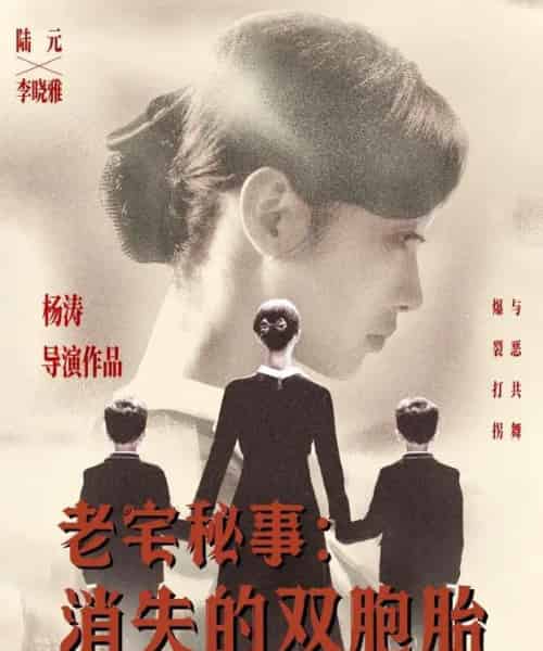 老宅秘事消失的双胞胎＆消失的孩子（90集）陆元 - 海之城短剧