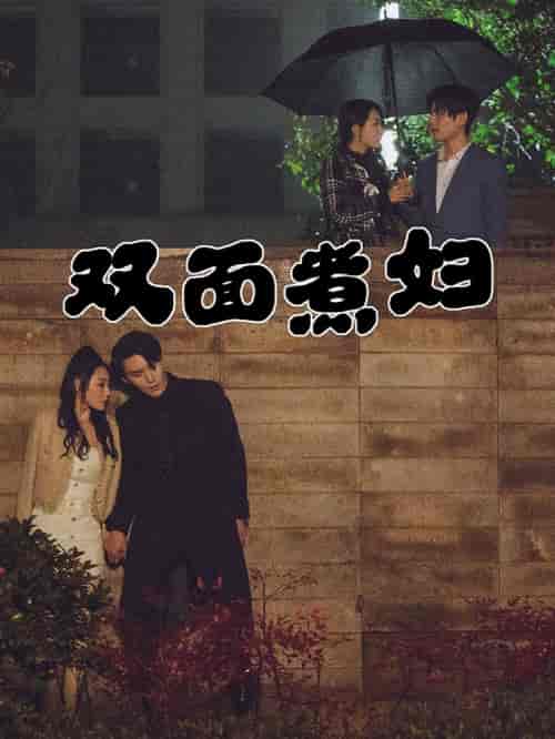 双面煮妇（99集） - 海之城短剧