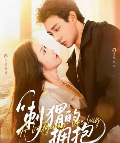 刺猬的拥抱（71集全）马小宇＆张晋宜-海之城短剧项目