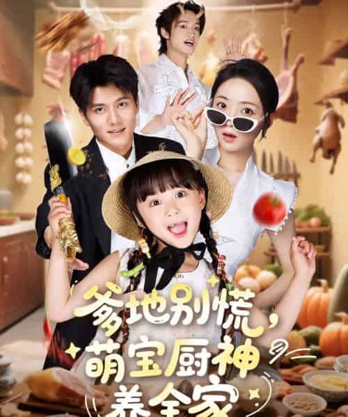 爹地别慌萌宝厨神养全家 爹地别慌萌宝厨神养全家