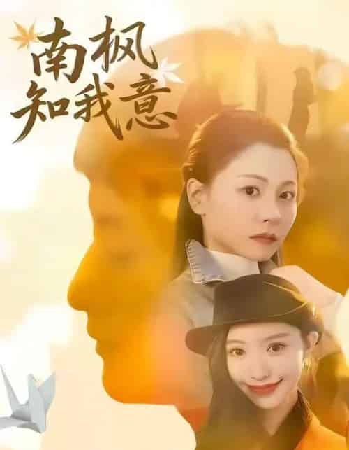 南枫知我意（41集全）徐梦瑶＆黄跃峰-海之城短剧项目
