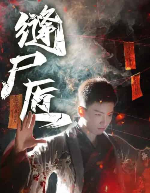 缝尸匠（60集全）远霞＆霍文琦-海之城短剧项目