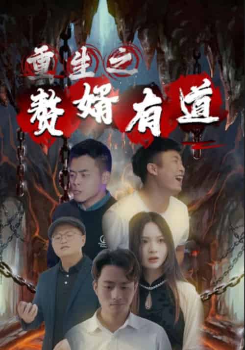重生之赘婿有道（123集全）张天豹＆冰冰 - 海之城短剧