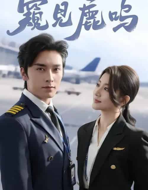 窥见鹿鸣（60集全）王博＆王如玮-海之城短剧项目