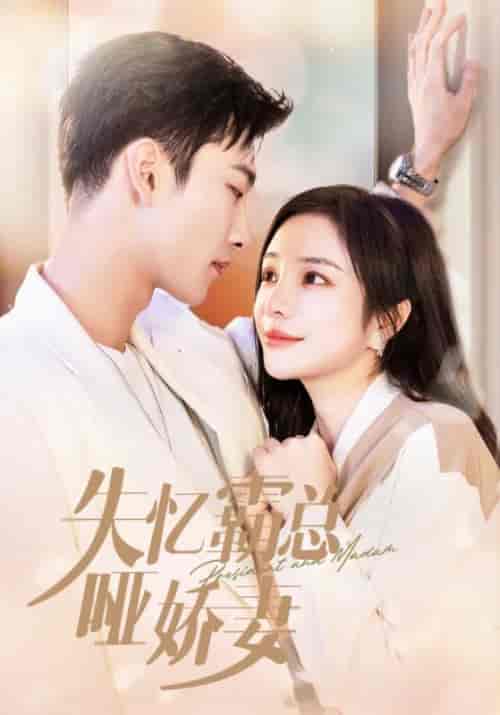 失忆霸总哑娇妻（40集全）霍云霆＆乔妍 - 海之城短剧