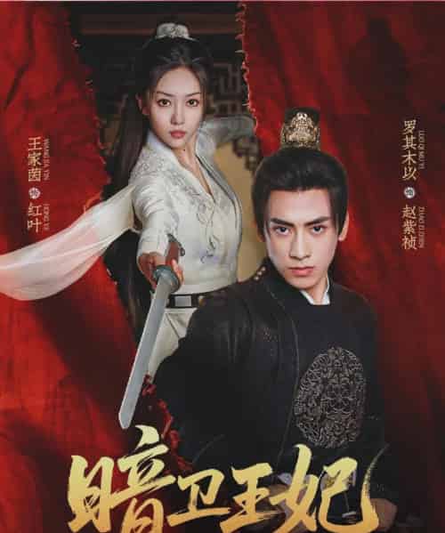 暗卫王妃（60集）王家茵＆罗其木以-海之城短剧项目