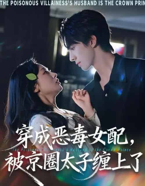 穿成恶毒女配，被京圈太子缠上了（56集全）冯文栋＆孙懿飞-海之城短剧项目