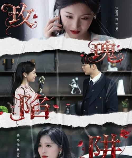 玫瑰陷阱（40集全）陈瑞＆张宝岚-海之城短剧项目