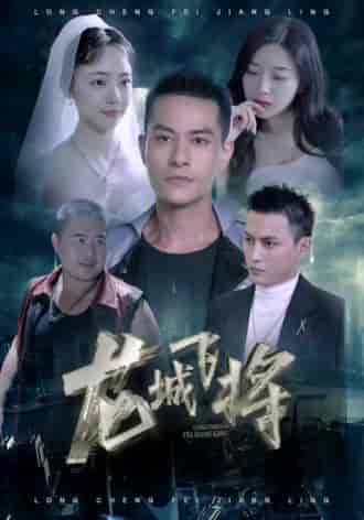 龙城飞将（85集） - 海之城短剧