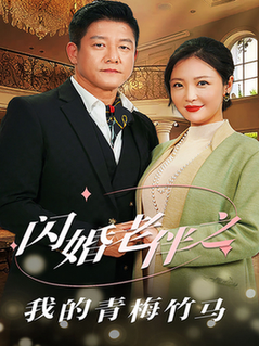 闪婚老伴之我的青梅竹马（68集全）滕林＆李明 - 海之城短剧