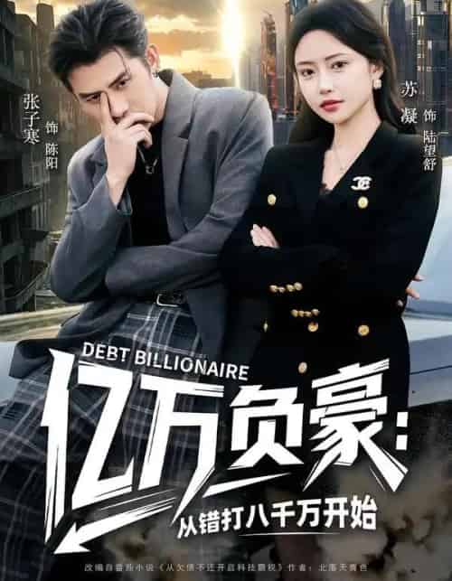 亿万负豪：从错打八千万开始（71集全）张子寒＆苏凝-海之城短剧项目