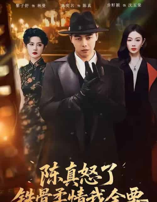 陈真怒了铁骨柔情我全要（74集全）陈奕名＆黎子舒-海之城短剧项目